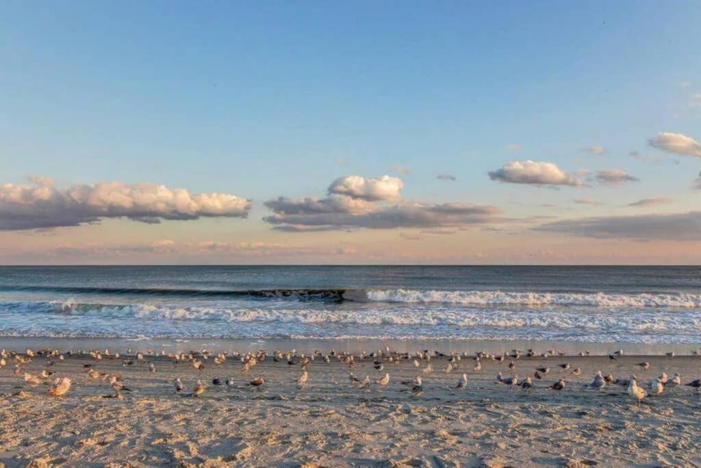 *Renovated Oceanfront Condo*Queen Beds*Pools*Hot Tubs*More*P220 미를 비치 외부 사진